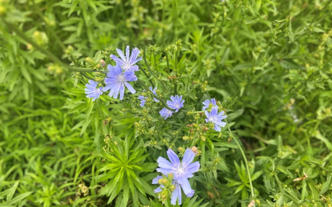 2021 Reflections and a Look Towards 2022