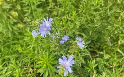 2021 Reflections and a Look Towards 2022