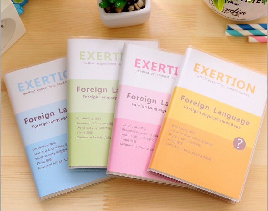 How to Actually Learn a Foreign Language